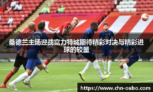 桑德兰主场迎战富力特城期待精彩对决与精彩进球的较量